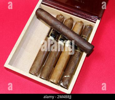 Luxury, indulgence, smoking: Box of fine cigars Stock Photo