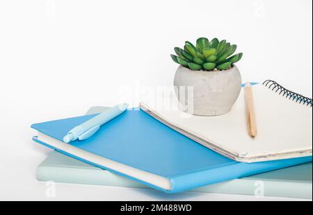 Notebooks and office plant on a white background close-up. Stock Photo
