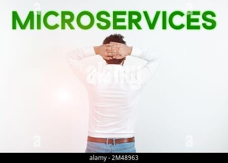 Conceptual display Microservices. Conceptual photo Software development technique Building single function module Stock Photo