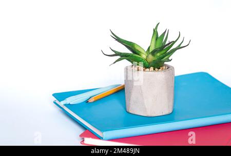 Notebooks and office plant on a white background close-up. Stock Photo