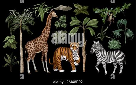 Jungle animals and trees isolated. Vector. Stock Vector