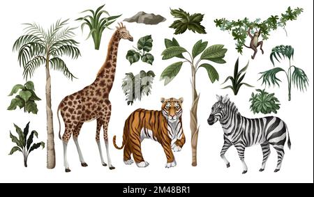 Jungle animals and trees isolated. Vector. Stock Vector