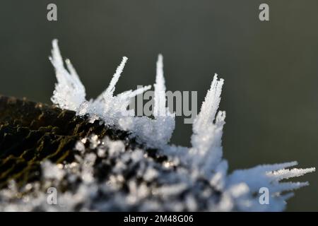 Frost on wood, macro photography, Thomastown, Co. Kilkenny, Ireland Stock Photo
