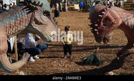 Woodland Hills, USA. 19th Dec, 2022. A child is seen at an exhibition named 'Dinosaurs in the Valley' in Woodland Hills, California, the United States, on Dec. 18, 2022. A large-scale dinosaur exhibition is being held in Woodland Hills in Southern California, attracting visitors to interact with life-sized animated dinosaurs. Credit: Zeng Hui/Xinhua/Alamy Live News Stock Photo