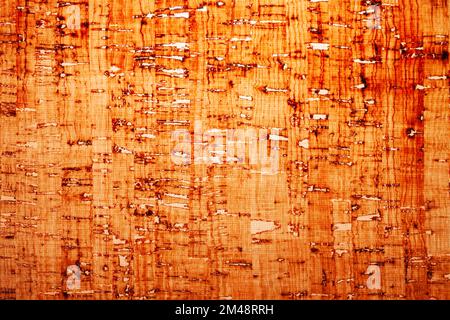 Grungy distressed papyrus like background texture Stock Photo
