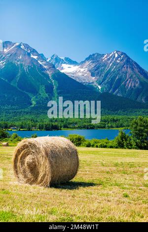 Large round hay bales in farm fields; Lake Kathlyn; Hazelton Mountains; Smithers; British Columbia; Canada Stock Photo