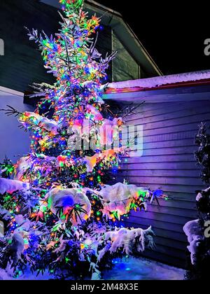 Beautiful decorated snowed in Christmas tree in a cold winterlandscape ...