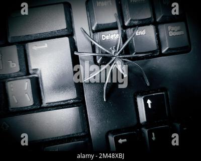Black spider on black keyboard. IT trouble abstract photo. Stock Photo