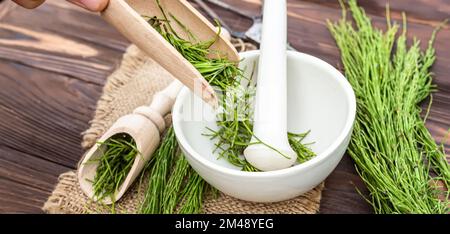 Herbalist pours dried cut medicinal Equisetum arvense, the field horsetail or common horsetail herb into an apothecary white mortar Stock Photo