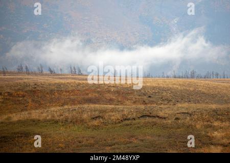 Low lying cloud at ground level where the prairies meet the mountains in Waterton Lakes National Park, Alberta, Canada Stock Photo