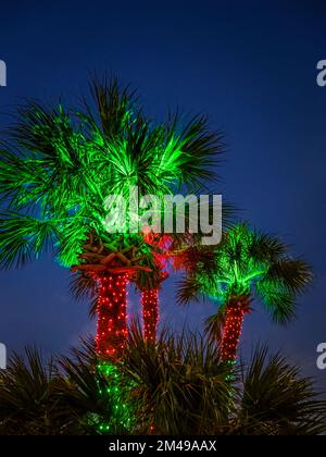 Christmas light decorationed palm tree in tropical Florida Stock Photo