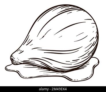 Delicious fig, soaked with sweet syrup. Design in hand drawn style over white background. Stock Vector