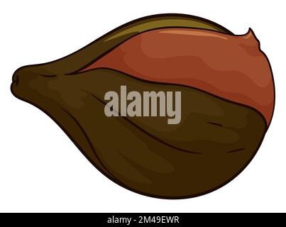 Close up view of a delicious fig, covered with creamy 'dulce de leche' -also called 'arequipe' or caramelized milk-. Stock Vector