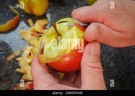 Swabian cuisine, preparing cider cake with apples, peeling apples, kitchen knife, Swabian baking speciality, from the oven, baked, sweet cake, apple Stock Photo