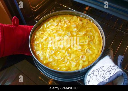 Swabian cuisine, preparing cider cake with apples, baked cake in springform pan, cake tin, getting baked goods out of the oven, Swabian baking Stock Photo