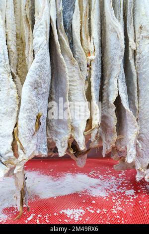 Salted dried cod bacalao on the counter of a fish store. Traditional Portuguese and Scandinavian sea fish dish. High quality photo Stock Photo