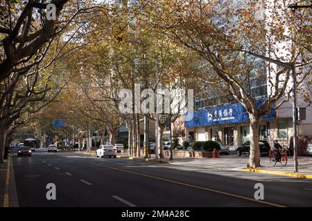 SHANGHAI, CHINA - DECEMBER 20, 2022 - An empty street in Shanghai, China, on December 20, 2022. Stock Photo