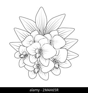 orchid flower outline line coloring page of easy sketches hand drawing design Stock Vector