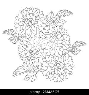 dahlia flower illustration with pencil stroke in doodle art design of coloring page design Stock Vector