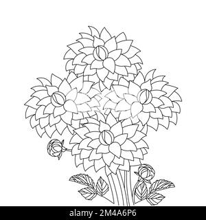 dahlia flower illustration with pencil stroke in doodle art design of coloring page design Stock Vector