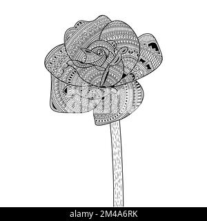 rose illustration of pencil line art with doodle style adult coloring book  page with leaves easy sketch Stock Vector Image  Art  Alamy
