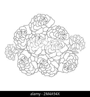 beautiful flowers coloring page with pencil sketch drawing detailed in vector graphic of line art Stock Vector