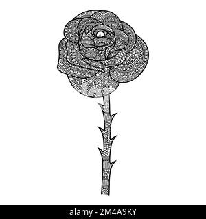 flowers rose zentangle coloring page with decorative easy sketches design illustration Stock Vector