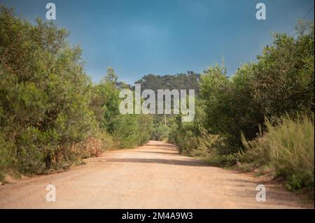 Empty dirt road shot from low angle Stock Photo