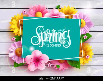 Spring text vector template design. Spring is coming typography in empty space frame with colorful fresh flowers decoration elements for season Stock Vector