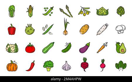 Raw vegetable color line icons. Farm harvest pictograms, natural food outline vector symbols or fresh vegetables icons set with salad, corn, pea, artichoke and olive, garlic, beet, onion and avocado Stock Vector