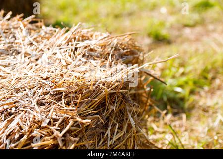 Defocus hay and straw. Hay texture. Hay bales are stacked in large stacks. Harvesting in agriculture. a pile of straw on nature background. Out of foc Stock Photo