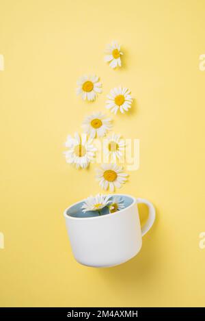 Beautiful chamomile  flowers fly out of a blue-white cup on a yellow background. Top view image Stock Photo