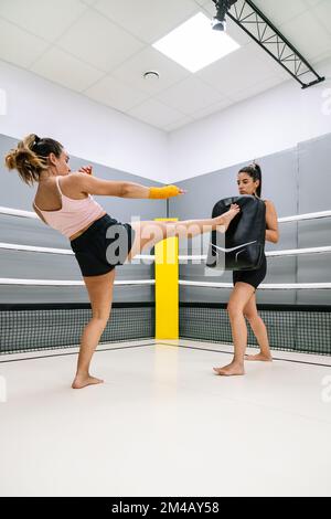 Kickboxer doing a front kick during a practice with her colleague at the gym Stock Photo