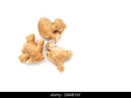 Isolated young gingers on white background, flat lay three small cuts of young gingers. Stock Photo