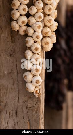 Bunch of garlic hanging on the wooden wall Stock Photo