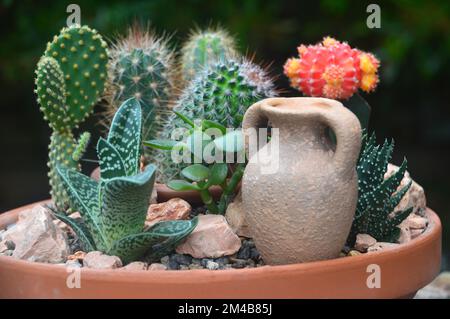 Terracotta Bowl with a Variety of Small Cactus Plants & Small Terracotta Urn on Display on a Patio Table in an English Country Garden, Lancashire, UK. Stock Photo