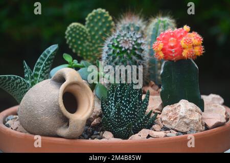 Terracotta Bowl with a Variety of Small Cactus Plants & Small Terracotta Urn on Display on a Patio Table in an English Country Garden, Lancashire, UK. Stock Photo