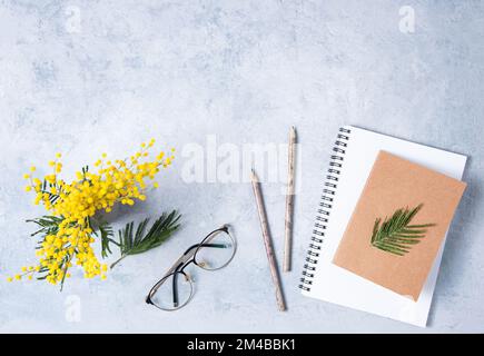 Flat lay with  yellow mimosa  flower,   a glasses, a craft notebook and pencils  on a blue  table. Women's floral desktop. top view and copy space Stock Photo