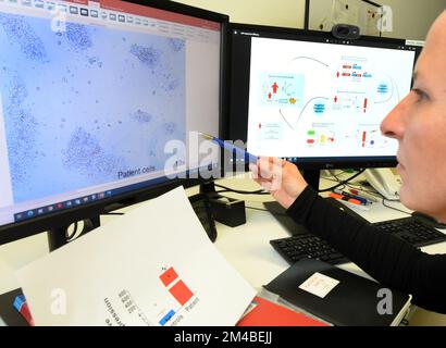 19 December 2022, Saxony, Leipzig: Biologist Kathrin Landgraf works on a schematic diagram of research findings on childhood obesity in the Pediatric Research Laboratory of the Faculty of Medicine at the University of Leipzig. According to a press release from the University of Leipzig, a research team at the Faculty of Medicine was able to discover a new mechanism associated with an unusual expression of a gene, with the control of the feeling of hunger and with severe obesity in children. The goal of the research, he said, is to translate findings from genetic studies into future personalize Stock Photo