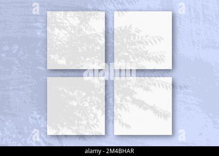Natural light casts shadows from an exotic planton 4 square sheets of white textured paper lying on a blue background Stock Photo