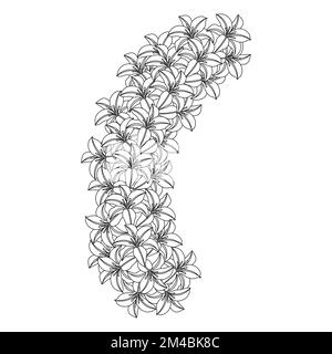 lily flower and lilium flower coloring page outline decorative line art ...