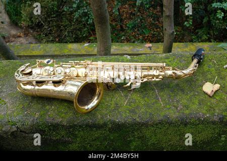 A closeup shot of a saxophone on a mossy concrete surface Stock Photo