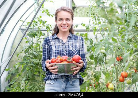 Young adult woman holding in her hand big dish full red ripe tomatoes. Stock Photo