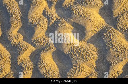 Rain shower on the rippled sand in the Namibia Stock Photo