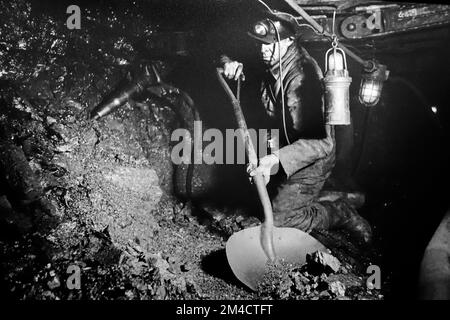 Coal miner / hewer working underground in shaft, extracting coal by hand with shovel and pneumatic hammer / pick in colliery / coal mine / coal pit Stock Photo