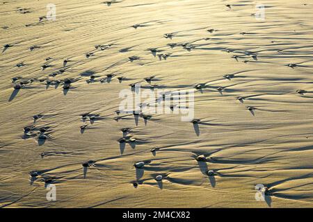 Small pebbles on the beach under afternoon light, an interesting background of the sand texture created by the wind, water and shadows Stock Photo