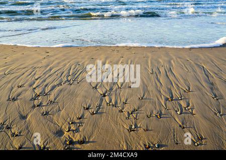 Small pebbles on the beach under afternoon light, an interesting background of the sand texture created by the wind, water and shadows Stock Photo