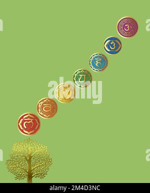 Chakra symbols and sacred geometry symbols isolated on color background with copy space for design Stock Photo