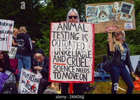 Huntingdon, United Kingdom. 1st August 2021. Camp Beagle.  Animal welfare activists gathered outside the MBR Acres beagle breeding site to demand the release of 2000 beagles which are being reared for use in animal experiments. Dozens of activists have also set up long-term camping outside the site to pressure the company to release the dogs and close the facilities. Stock Photo