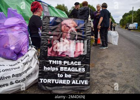 Huntingdon, United Kingdom. 1st August 2021. Camp Beagle.  Animal welfare activists gathered outside the MBR Acres beagle breeding site to demand the release of 2000 beagles which are being reared for use in animal experiments. Dozens of activists have also set up long-term camping outside the site to pressure the company to release the dogs and close the facilities. Stock Photo